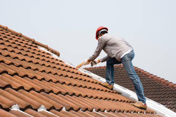 Best Roof Insulation Installation  in White Sands, NM